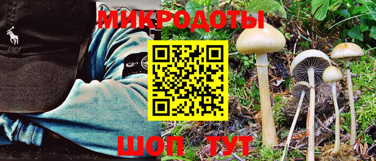 Галлюциногенные грибы мухоморы Знаменск